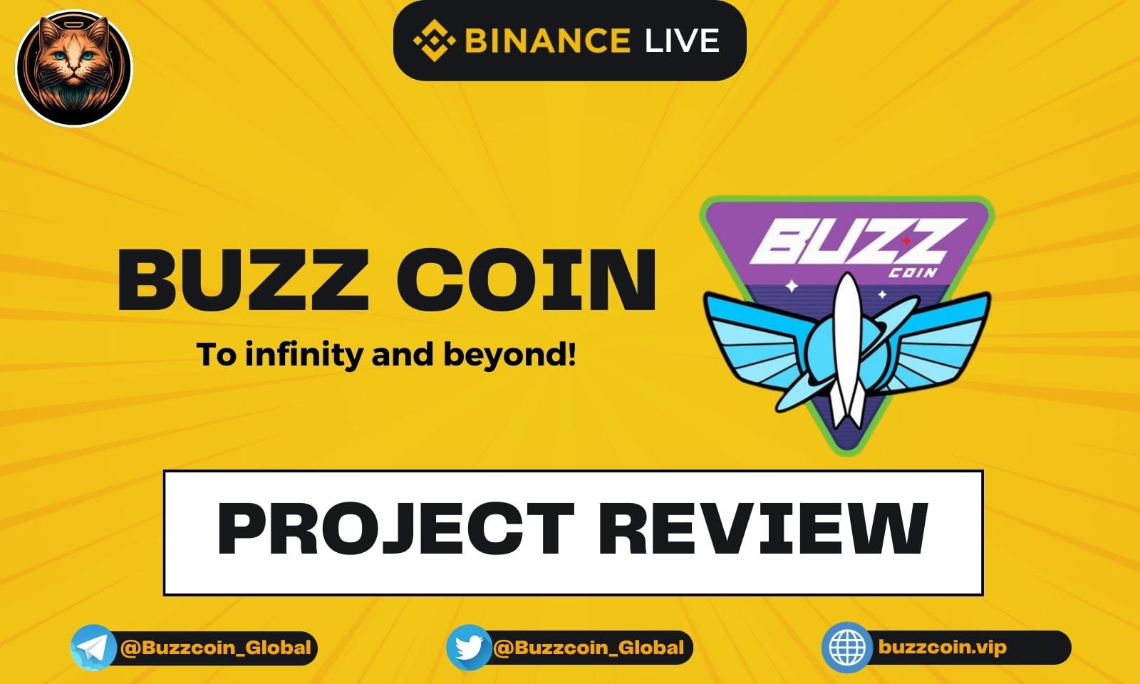 Leo Crypto Project Reviews | Buzz Coin