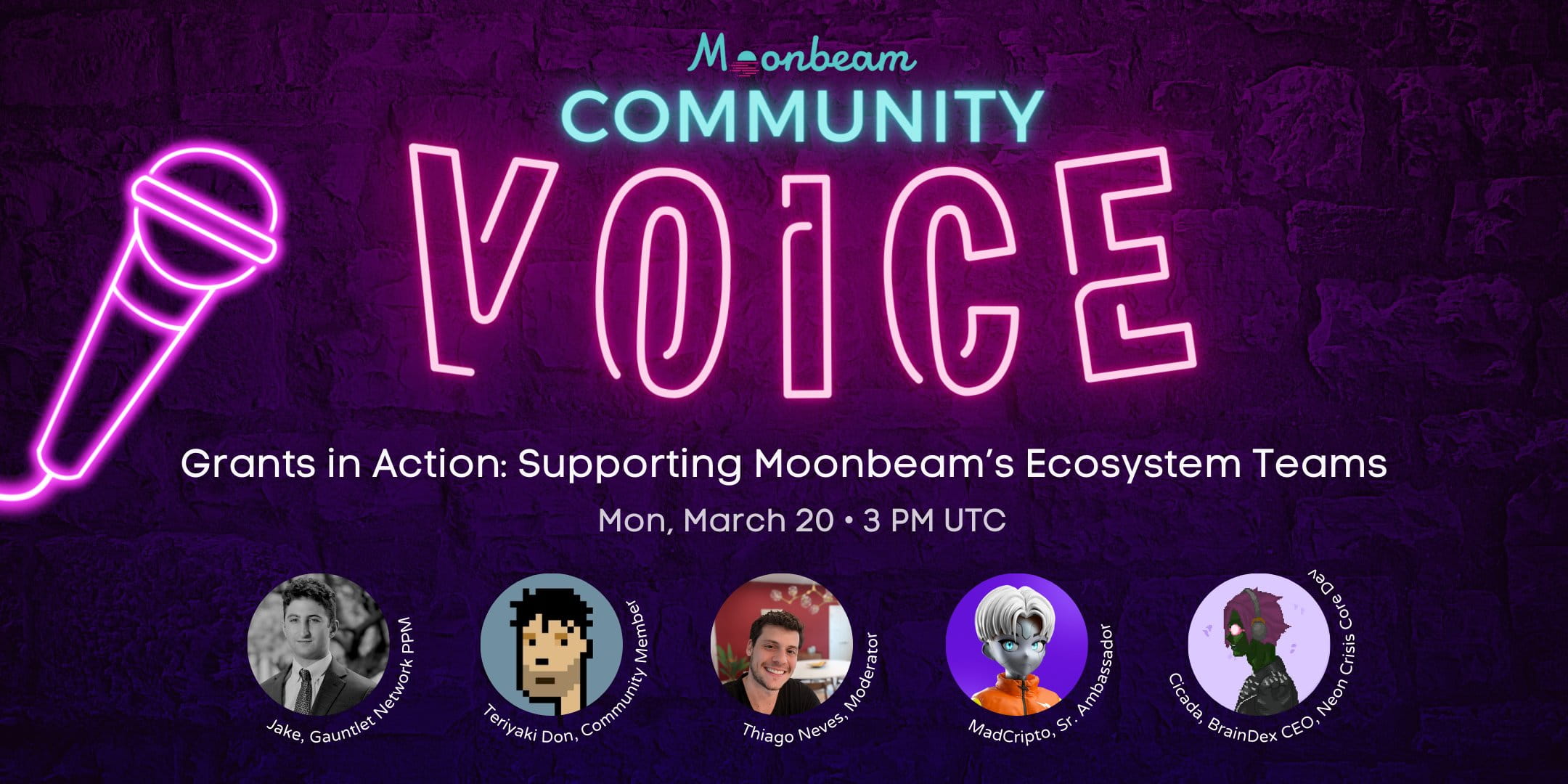 Grants in Action: Supporting Moonbeam's Ecosystem Team