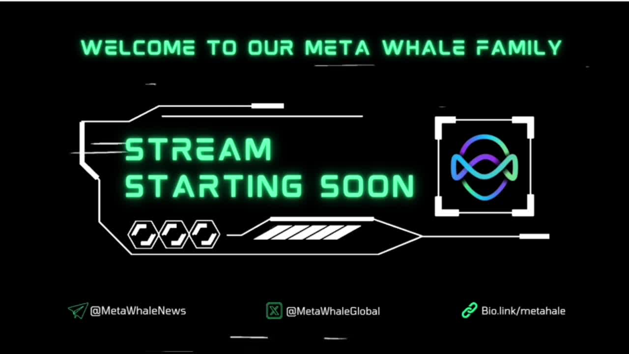 META WHALE LIVE GIVEAWAY 